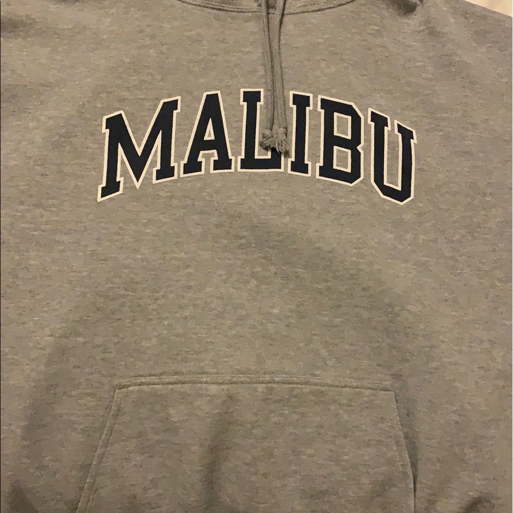 Brandy Melville Malibu Hoodie
